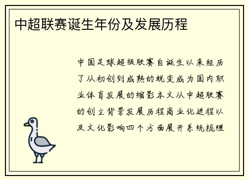 中超联赛诞生年份及发展历程