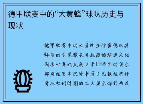 德甲联赛中的“大黄蜂”球队历史与现状