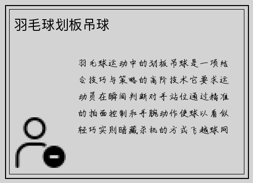 羽毛球划板吊球